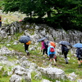 Irumagarrieta (506)
